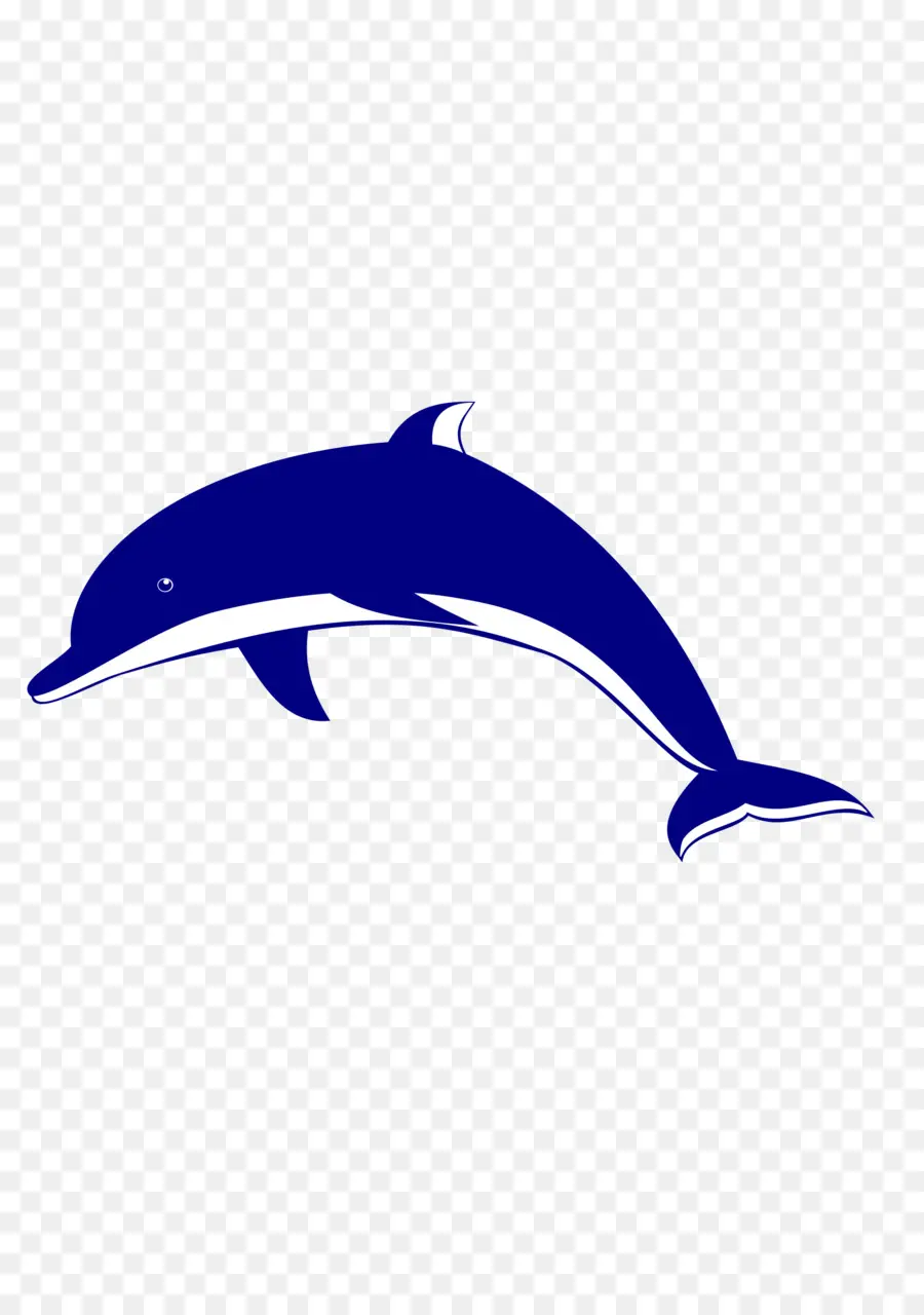 Ilustración De Delfines，Delfín PNG