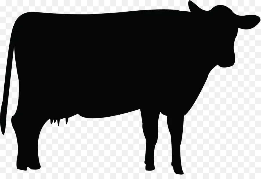 Ganado Holstein Friesian，El Ganado PNG