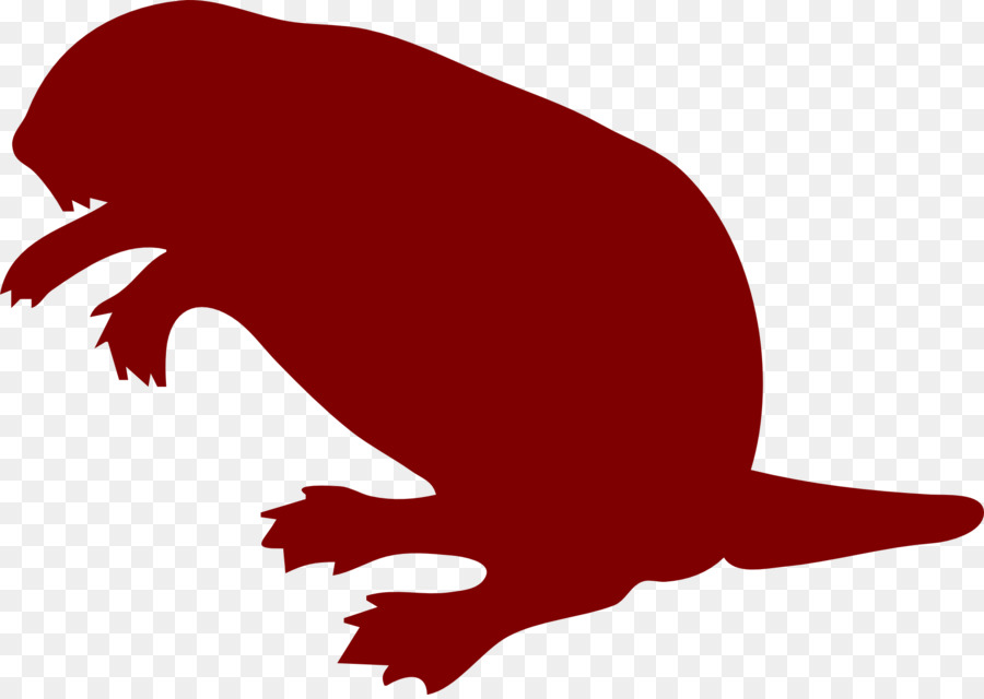 Beaver，Iconos De Equipo PNG