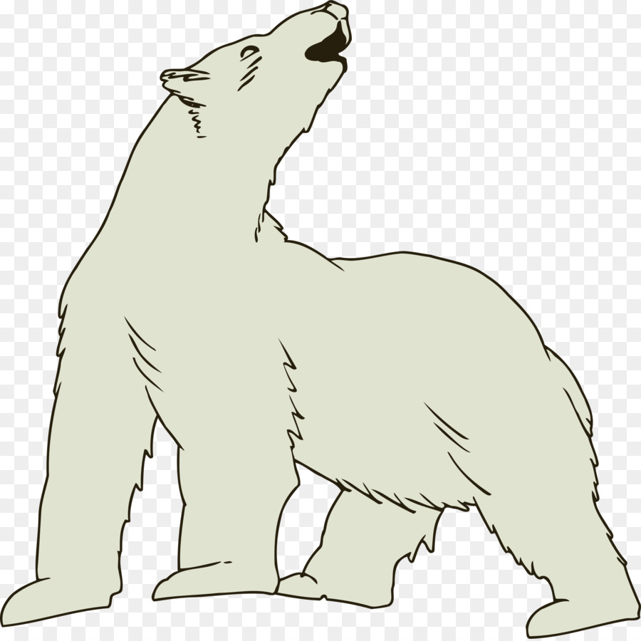 Oso Polar，Oso PNG