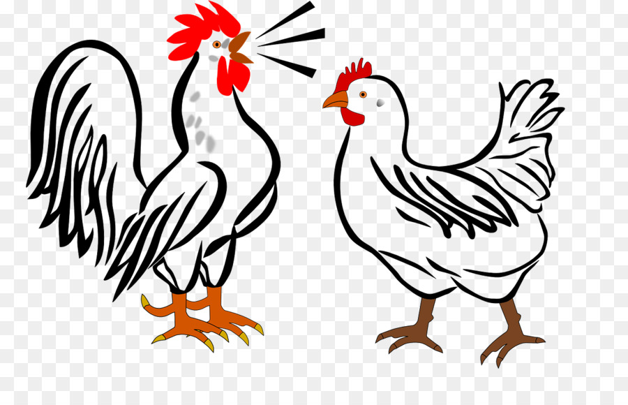 Hotan De Pollo，De Pollo Leghorn PNG