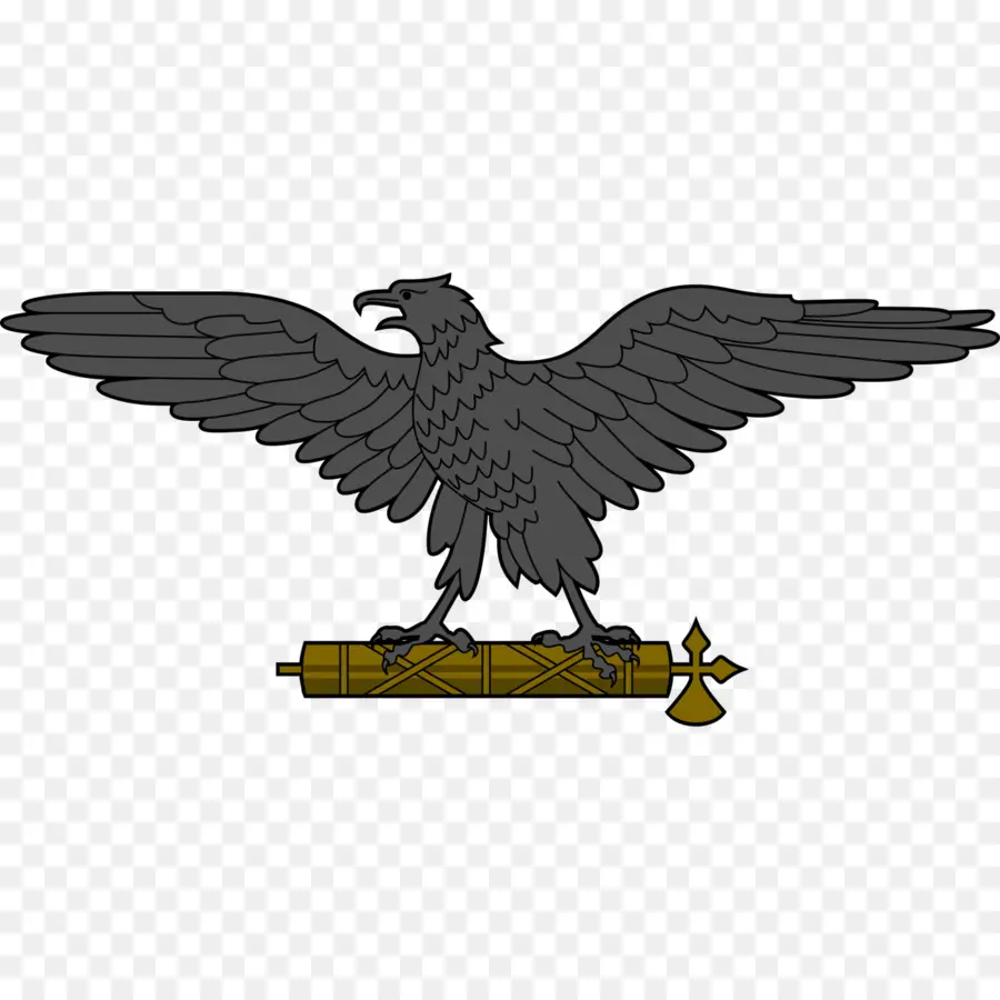 Emblema Del águila Negra，Símbolo PNG