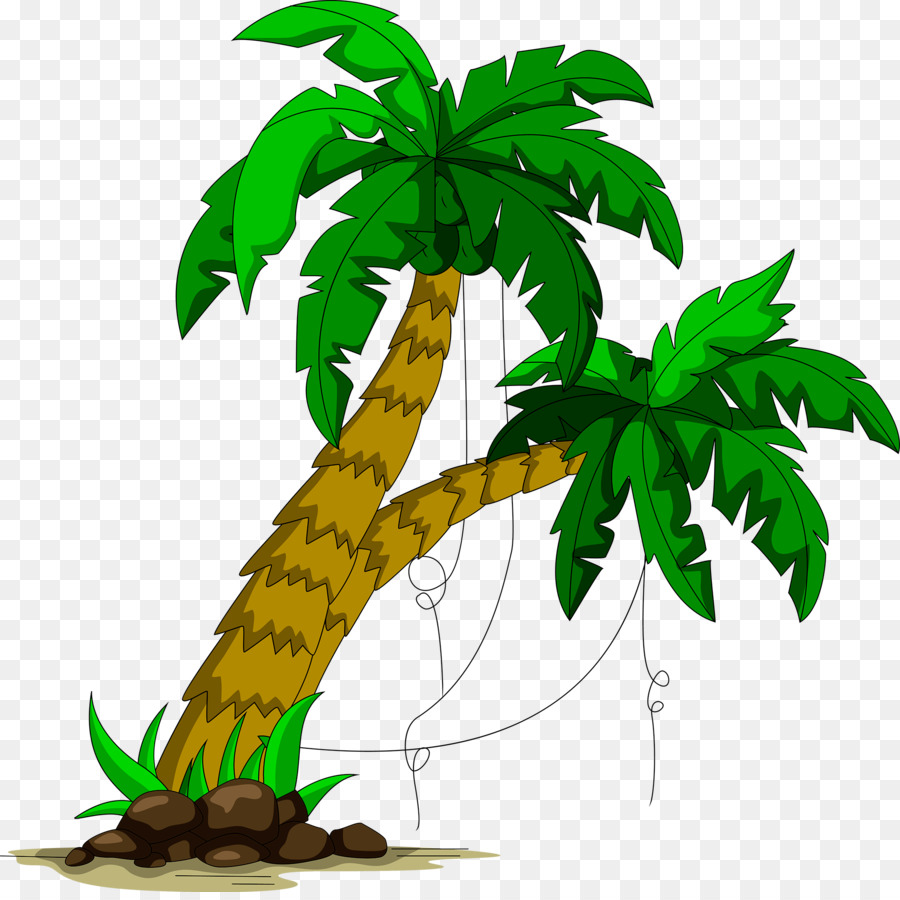 Arecaceae，árbol PNG