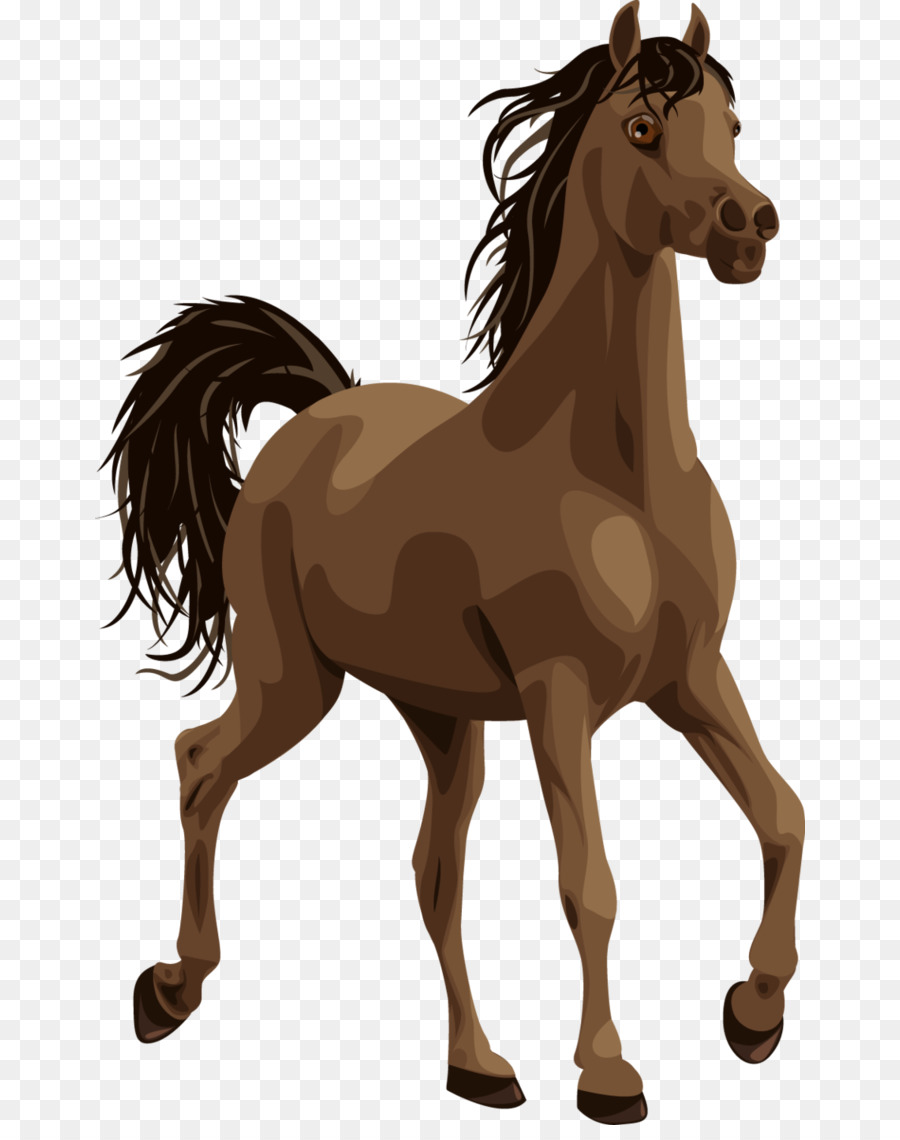 Caballo Marrón，Equino PNG