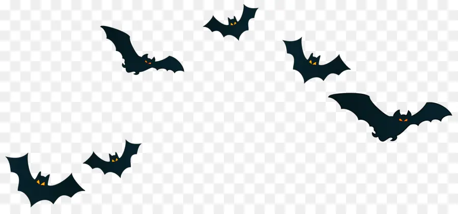 Bat，Halloween PNG