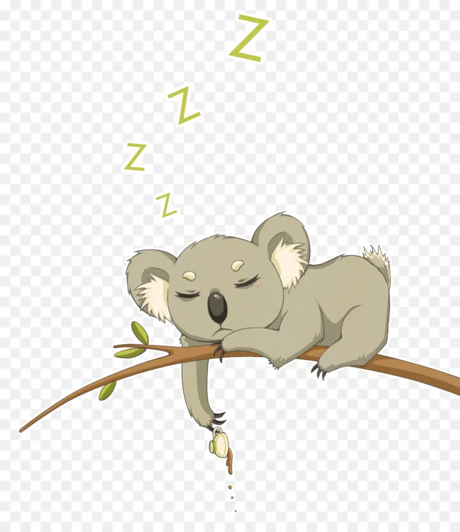 Koala Durmiendo，Árbol PNG