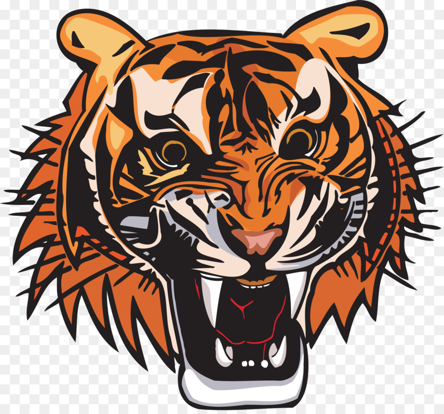 Tigre，Fotografía De Stock PNG