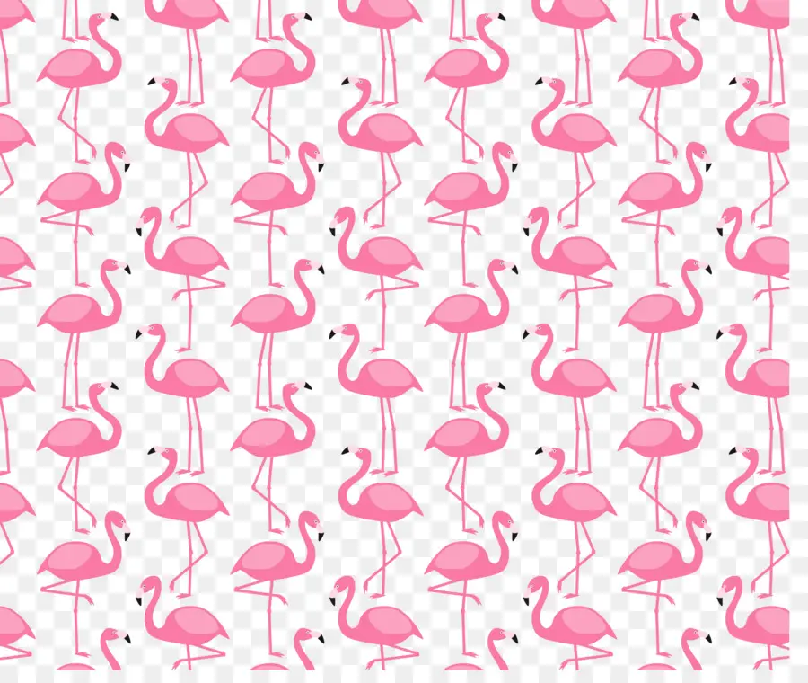 De Plástico Flamingo，Los Flamencos PNG