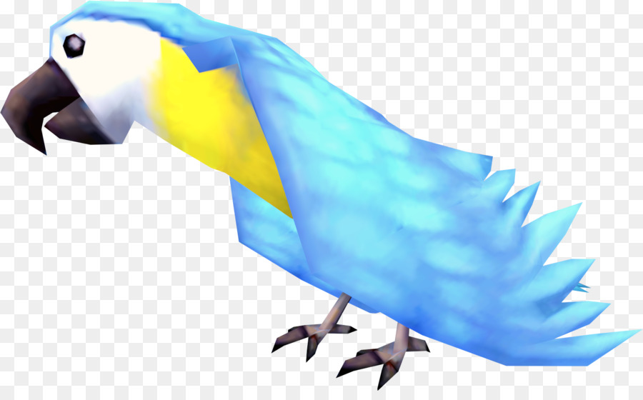 Runescape，Parrot PNG