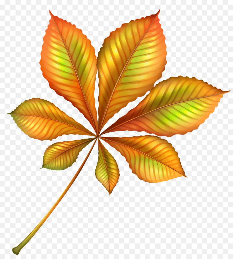 Otoño，Hoja PNG