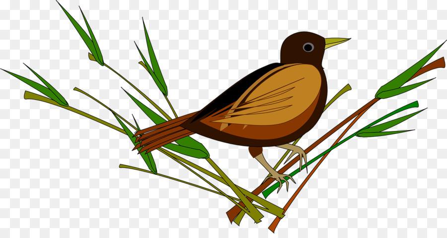 Pájaro，Pájaro En El árbol PNG