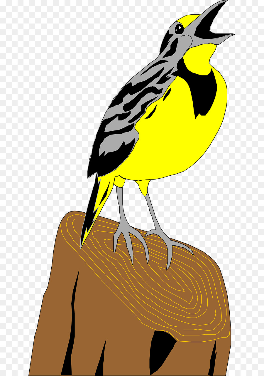 Pájaro Amarillo，Cantando PNG