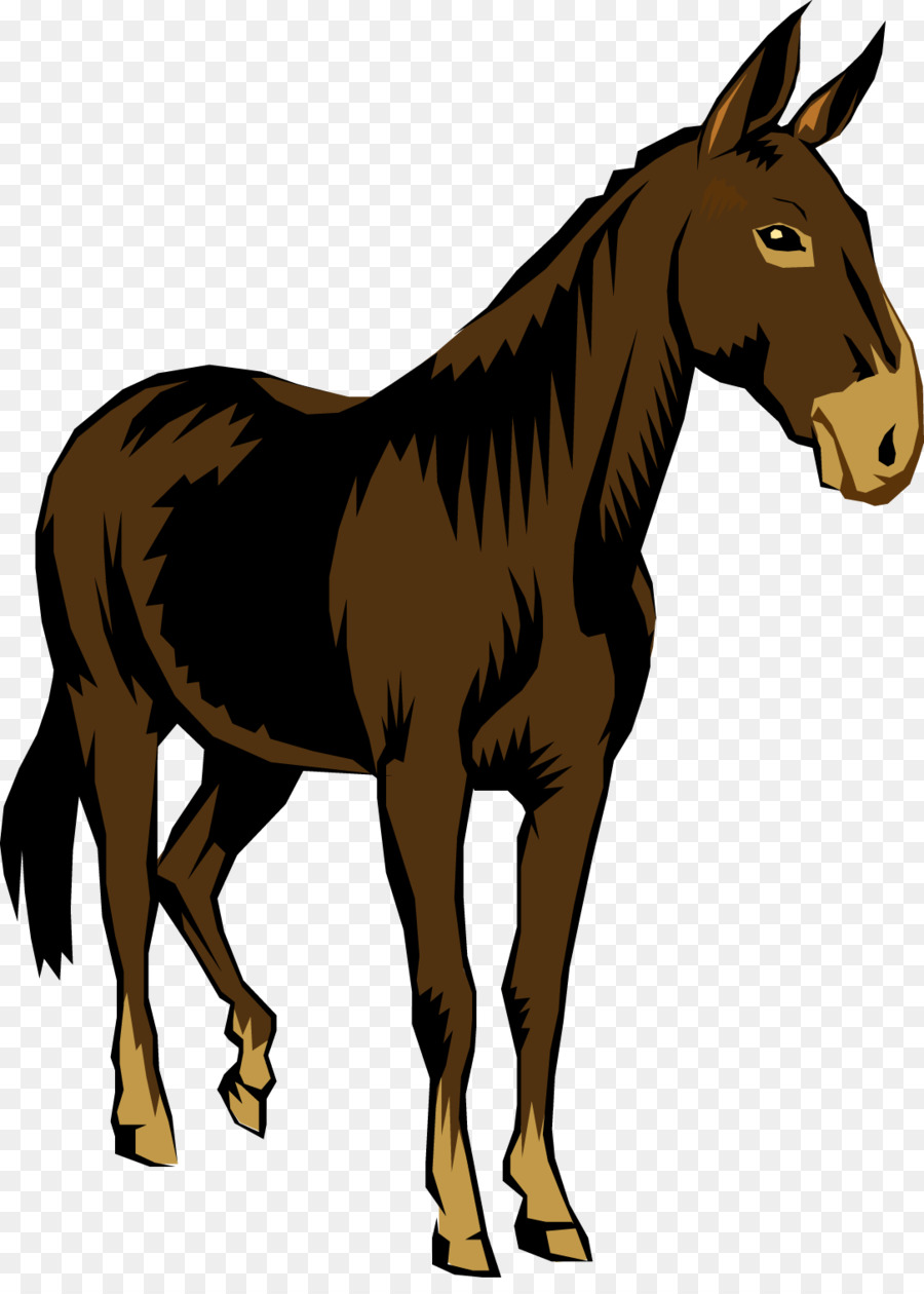 Caballo，Equino PNG