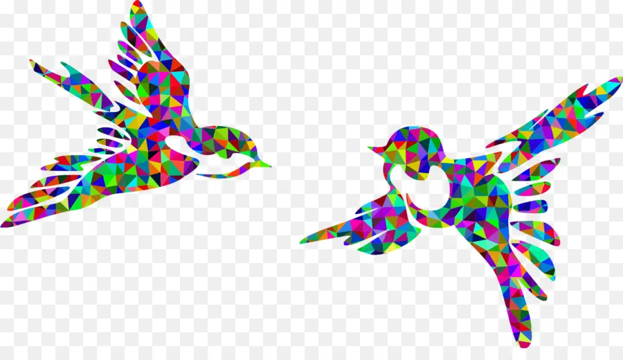 Pájaro，Vuelo PNG