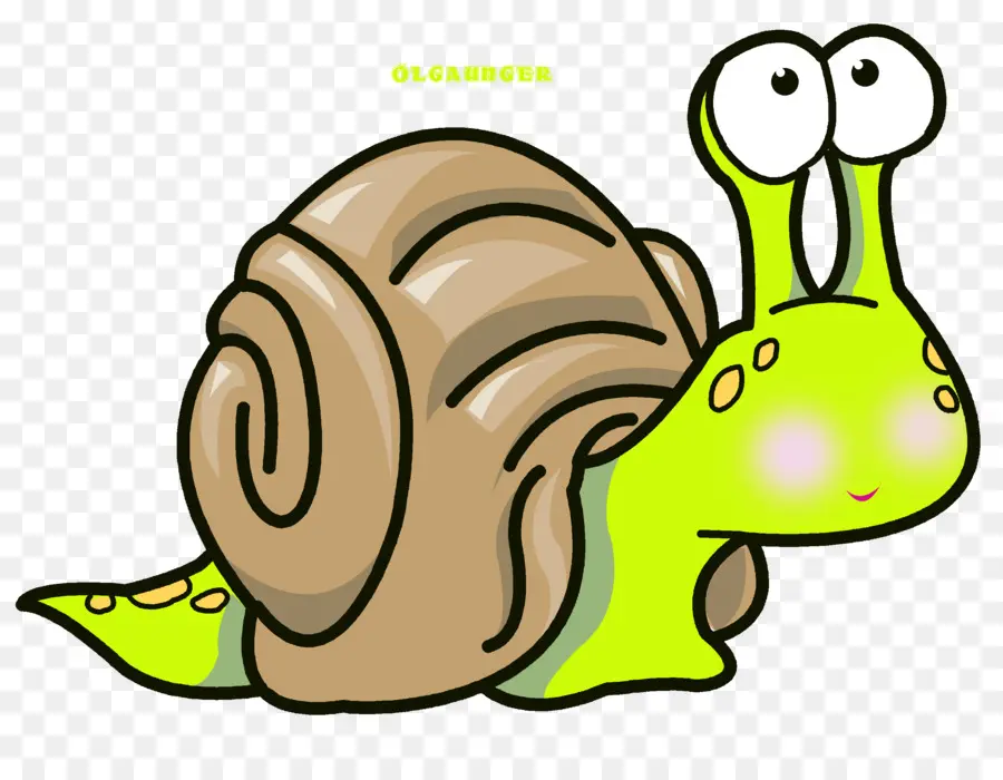 Caracol De Dibujos Animados，Caparazón PNG