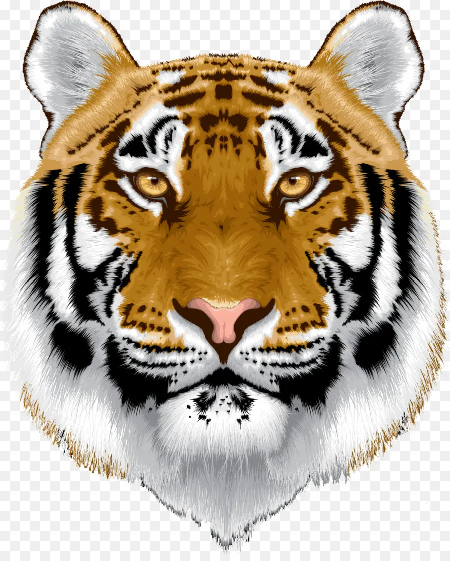 Tigre，Felino De Gran Tamaño PNG