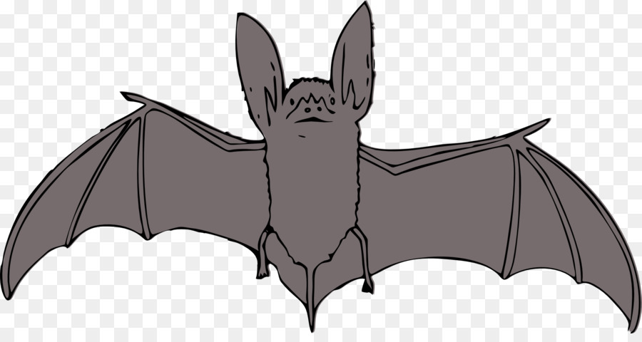 Bat，Iconos De Equipo PNG