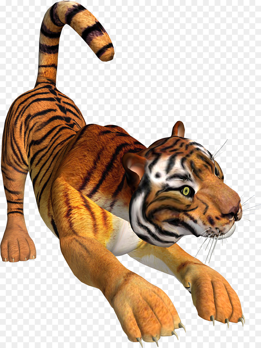 Tigre，Fauna PNG