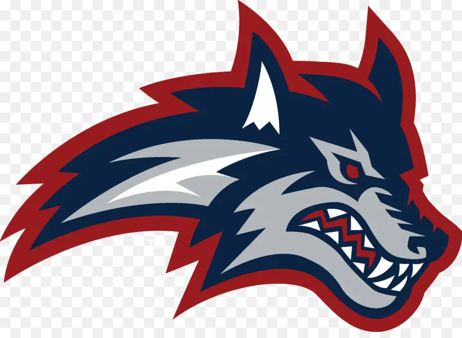 La Universidad De Stony Brook，Stony Brook Seawolves De Fútbol PNG