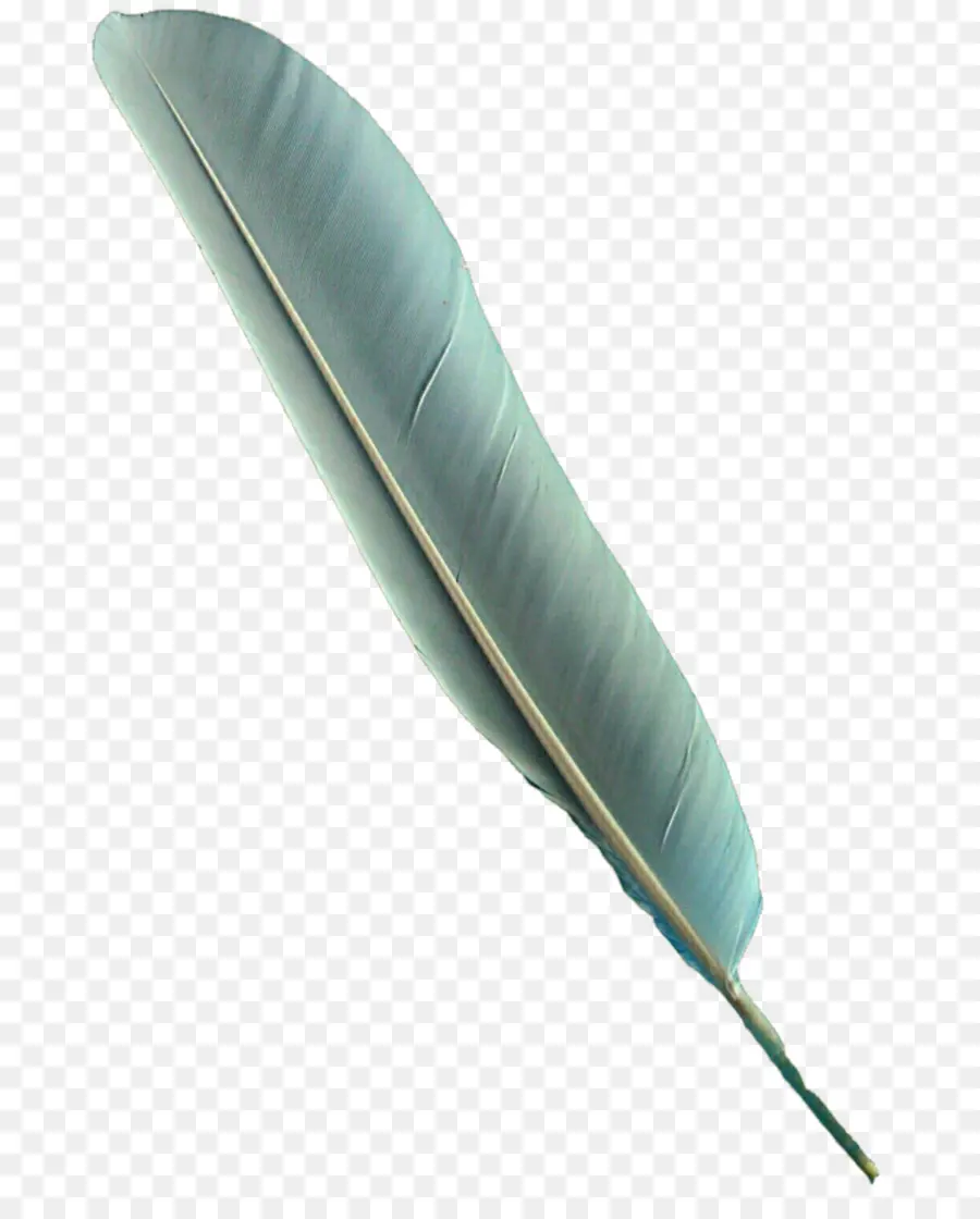 Pluma Azul，Pájaro PNG