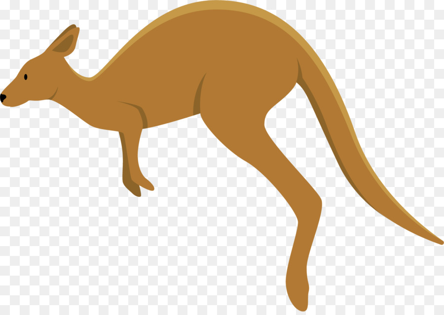 Canguro，Marsupial PNG