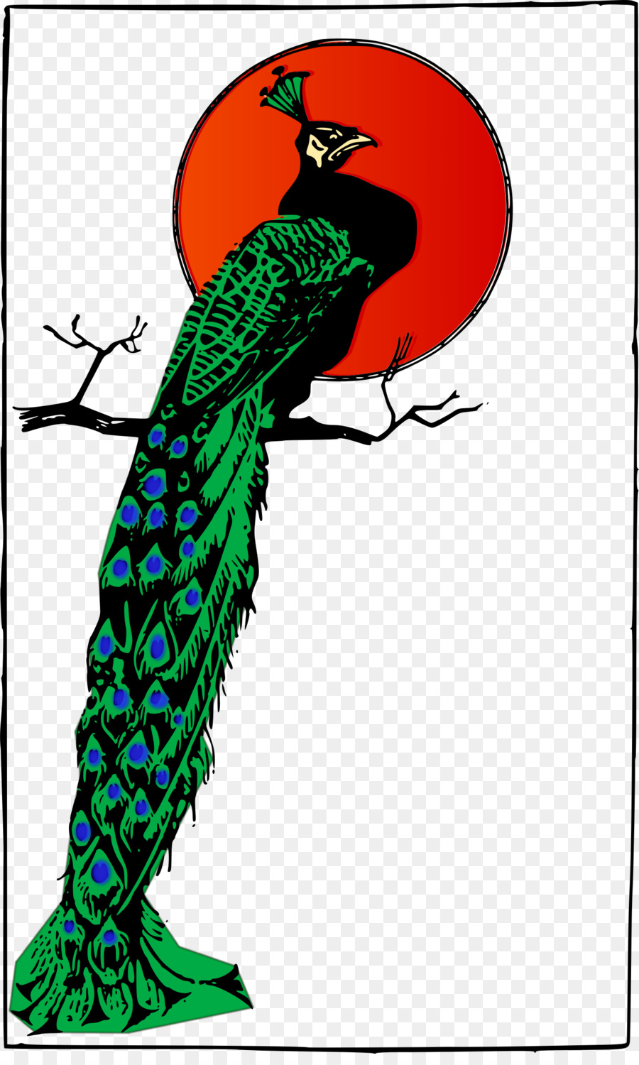 Pájaro，Pavo Real PNG