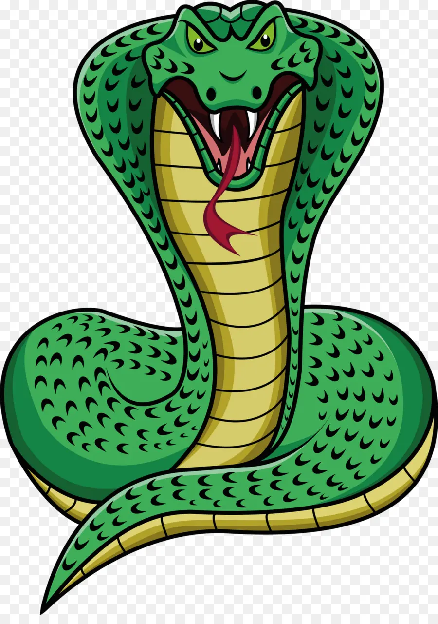 La Serpiente，La Serpiente Escala PNG