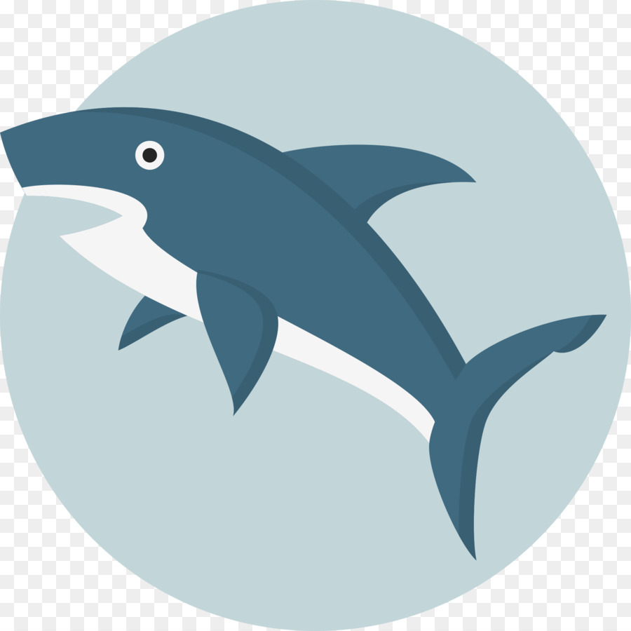 Tiburón，Iconos De Equipo PNG