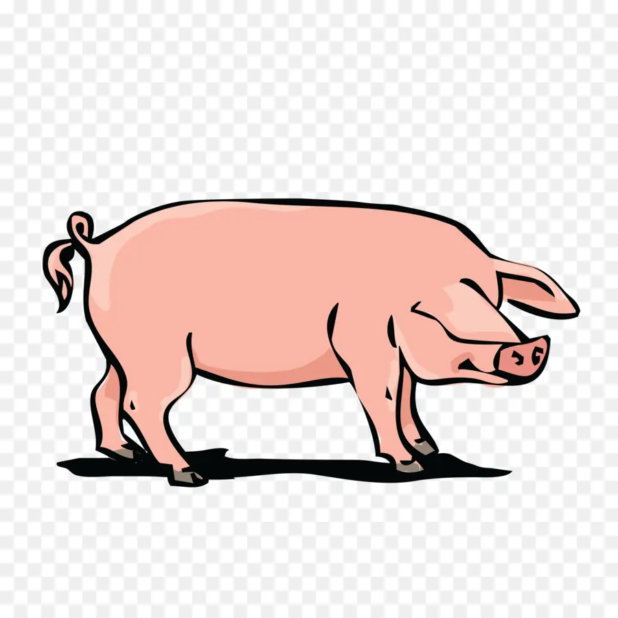 Cerdo，Cría De Cerdos PNG