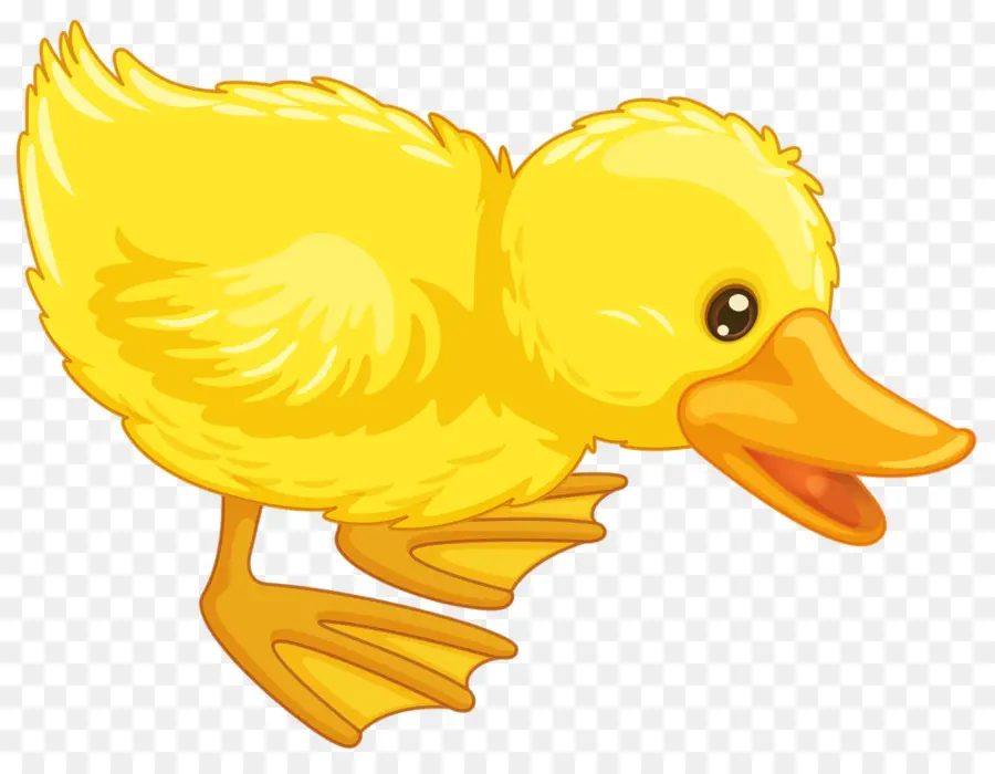 Pato，De Dibujos Animados PNG