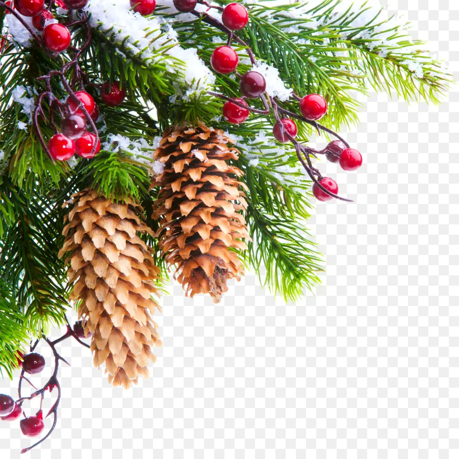 árbol De Navidad，La Navidad PNG