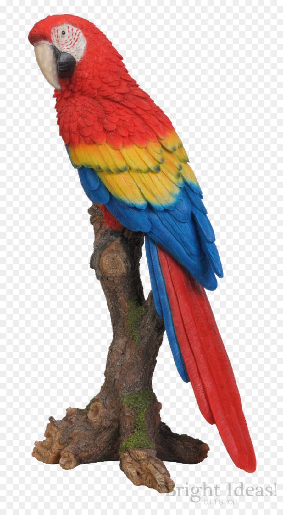 Parrot，Pájaro PNG