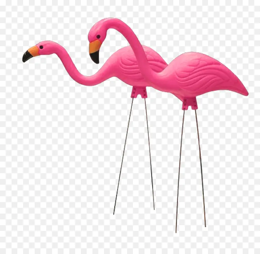 De Plástico Flamingo，Estados Unidos PNG