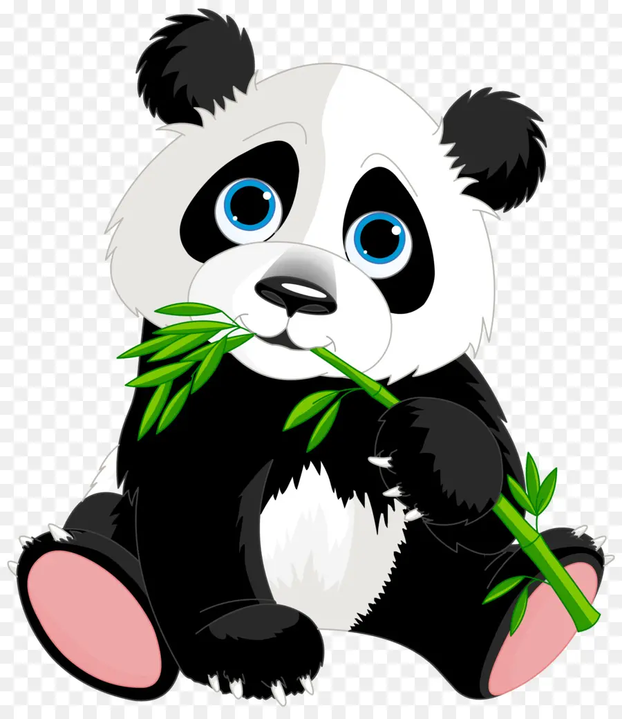 El Panda Gigante，El Panda Rojo PNG