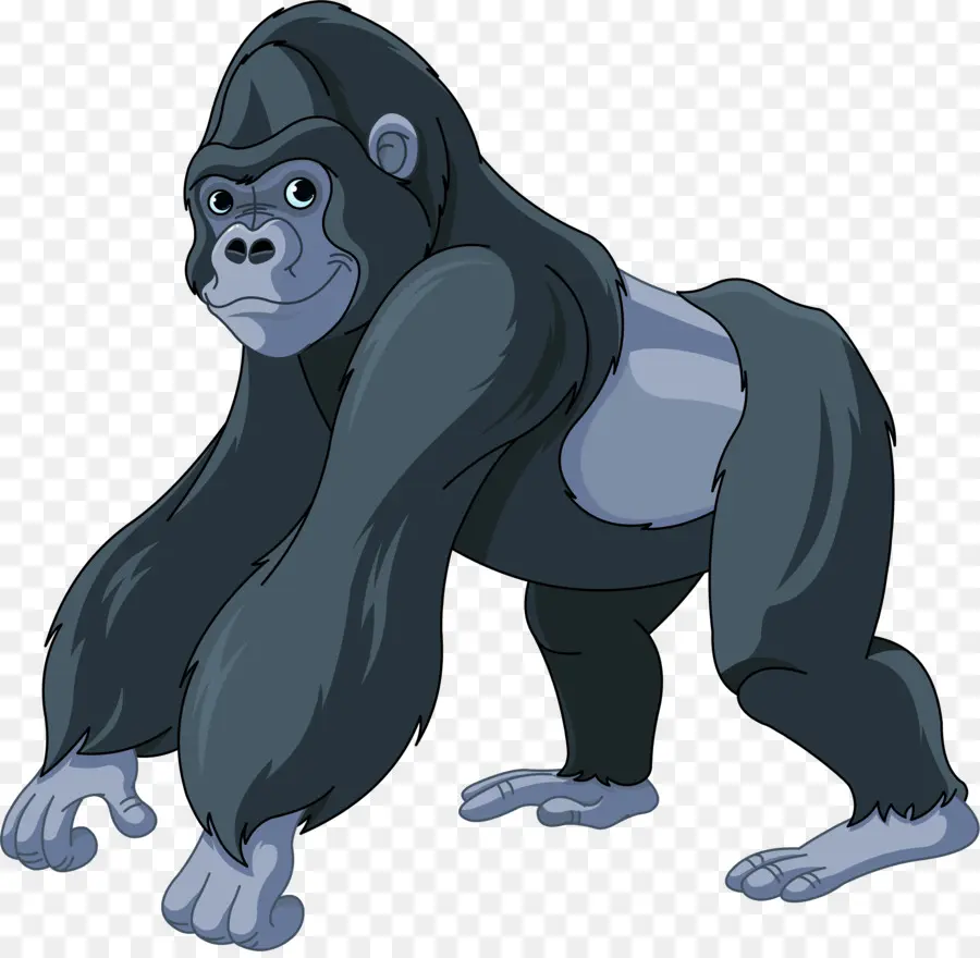 Gorila，Ape PNG