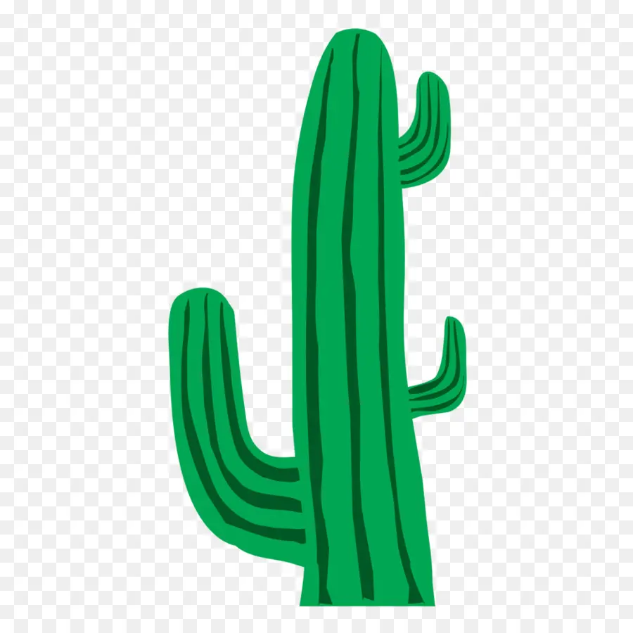 Cactaceae，Descargar PNG