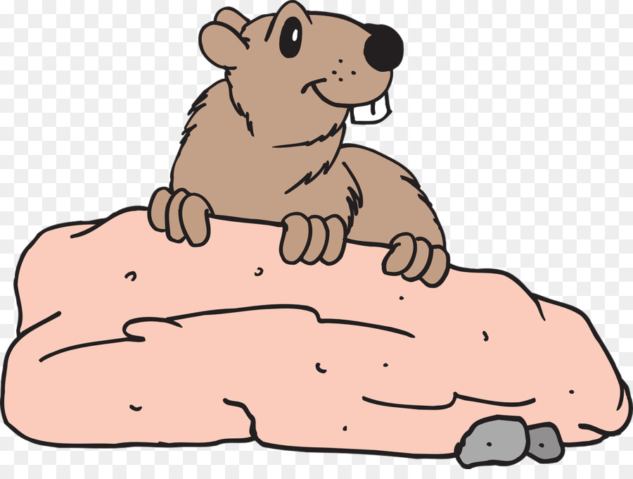 Punxsutawney，Día De La Marmota PNG