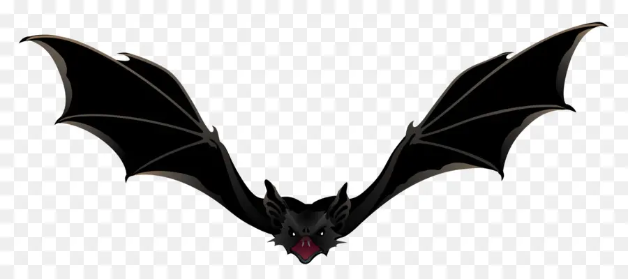 Bat，De Halloween De La Serie De La Película PNG