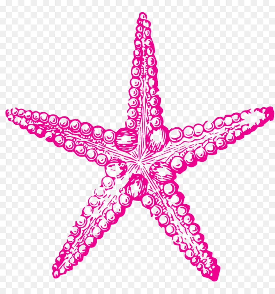 Estrella De Mar Rosa，Marina PNG