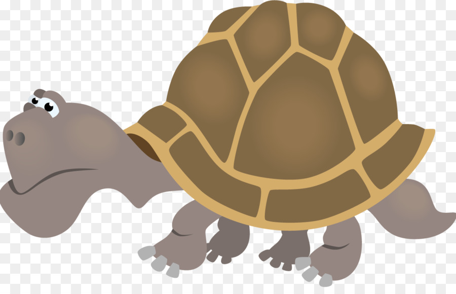 Tortuga，Sustantivo Colectivo PNG