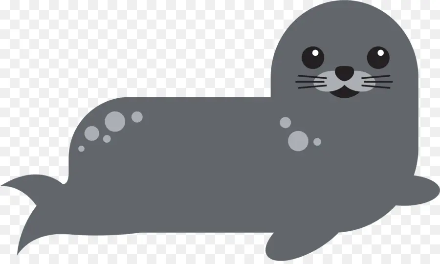 Foca，De Pinípedos PNG