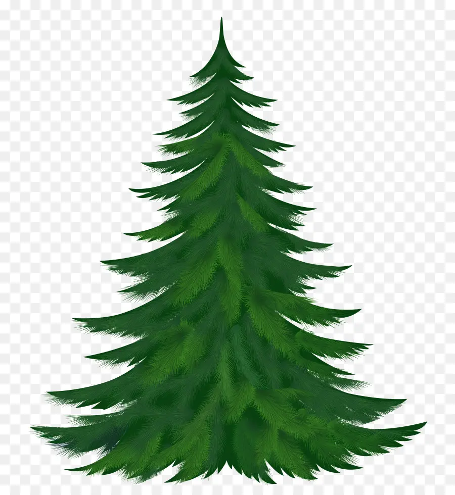 árbol De Navidad Verde，Navidad PNG