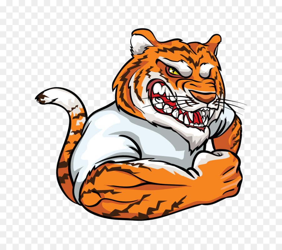 Tigre，Muscular PNG