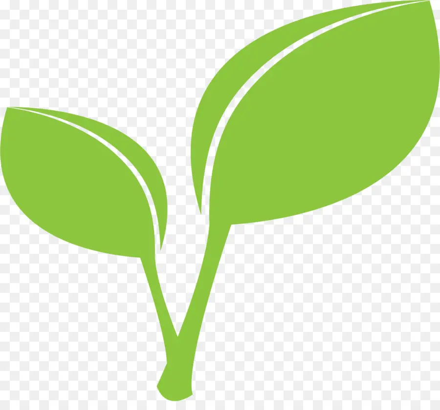 Hojas Verdes，Planta PNG