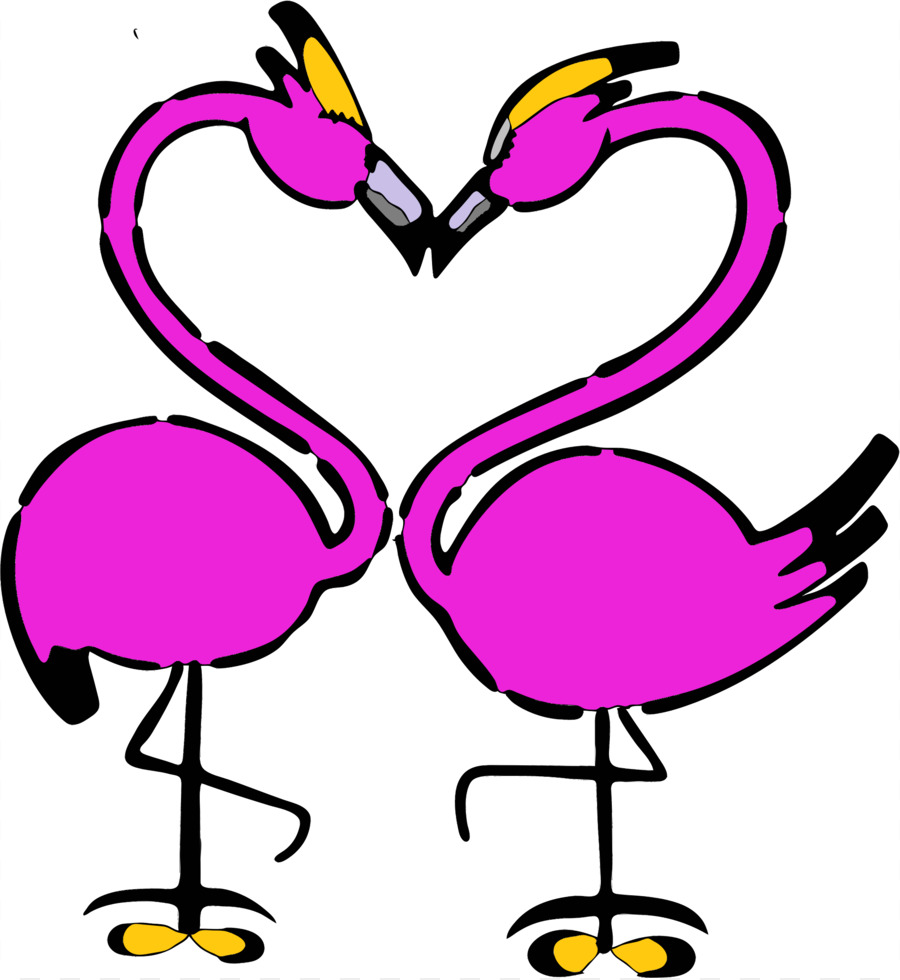 Pájaro，Flamingo PNG