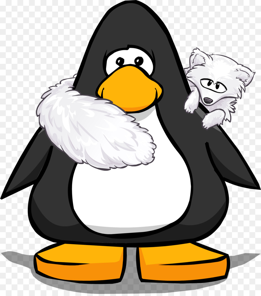 Pingüino Y Mono，Animal PNG