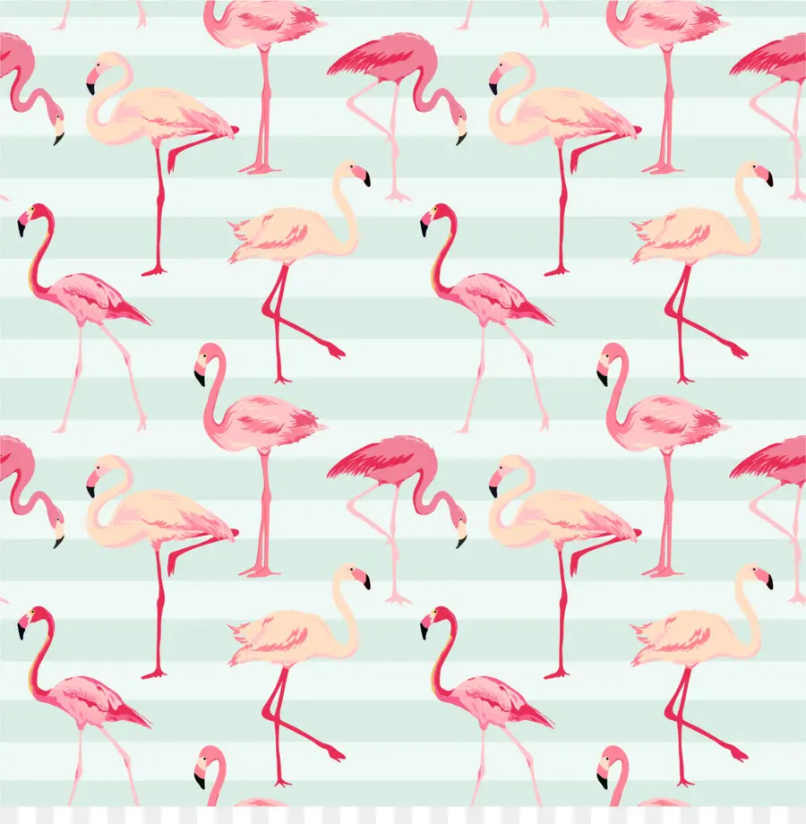 Flamingo，Royaltyfree PNG