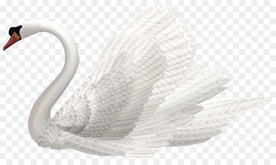 Cisne，Pelican PNG