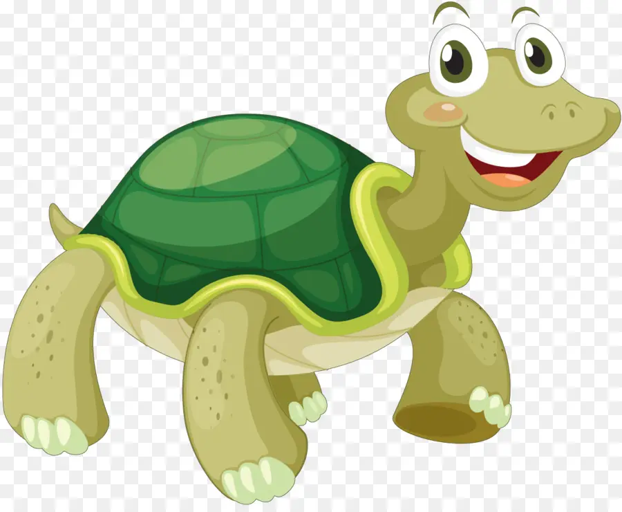 Tortuga，Reptiles PNG