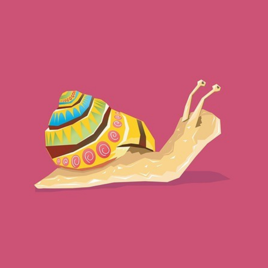 Caracol，Gasterópodos PNG